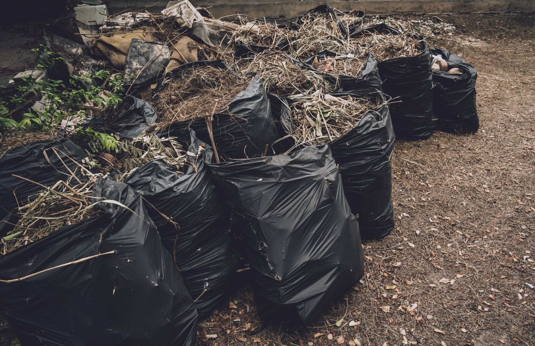 5 Signs You Need A Dumpster Rental