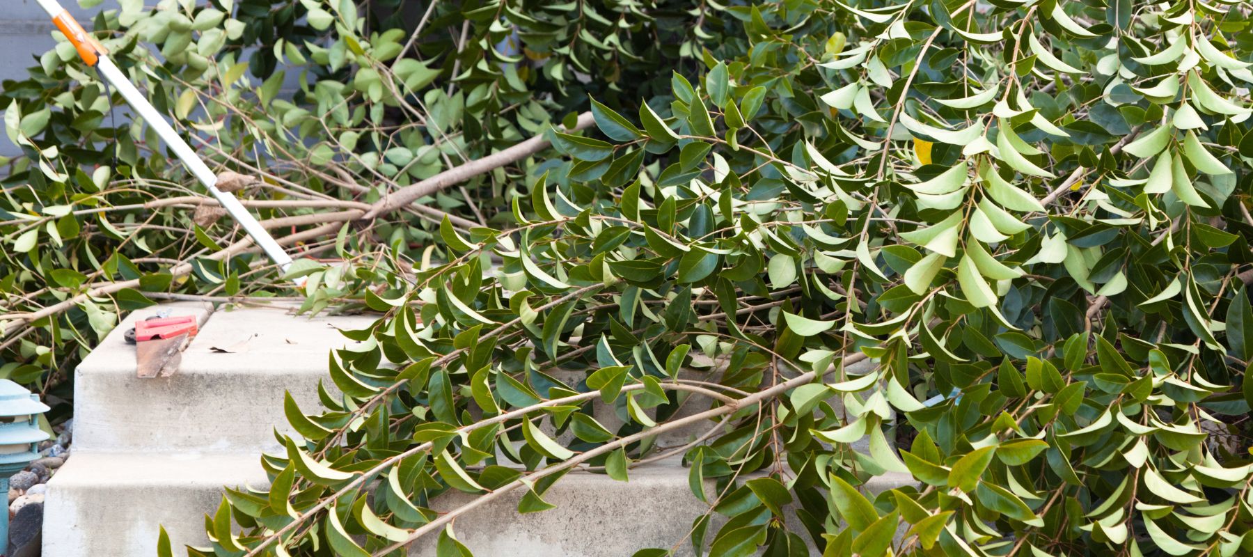 Why Use A Dumpster For A Landscaping Project?